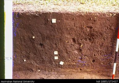 SAD/I, North face, looking North