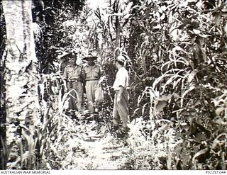 Rabaul, New Britain, 1945-10. Led by a Japanese guide and interpreter (right), Flying Officer (FO) Gene McCarthy (left) and 82586 FO Allen Robert Griffiths make their way along a jungle path to a ..