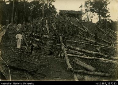 A settler engages in clearing scrub preparatory to planting rubber