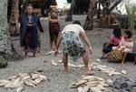 Lauloa (lit. long leaves) village communal fishing in lagoon 3-1-70