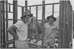 Tabibuga patrol post: John Edwards (patrol officer) and John Bradbury (cadet) build a house