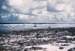 Reef east of south end of Bikini, Marshall Islands