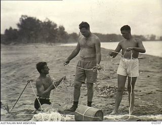 TOROKINA, BOUGAINVILLE ISLAND, SOLOMON ISLANDS. C. 1945-03-01. THREE OF THE MEN WHO CONSTITUTE A SPECIAL FISHING SECTION OF THE RAAF, UNRAVELLING ROPE WHICH IS ATTACHED TO BUOYS FOR A "LONG LINE". ..