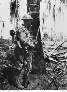 Australian-manned General Stuart M3 Light Tanks bust Japanese pillboxes in the final assault on Buna. NX105541 Private S. Sloss, 2/12th Battalion, leans against a coconut palm 40 yards away from a ..