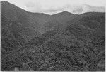 Bismarck Range mountains, garden clearings in foreground