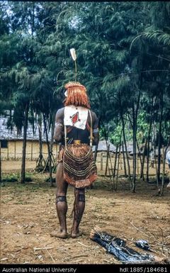 Kotuni - mumu (earth oven)