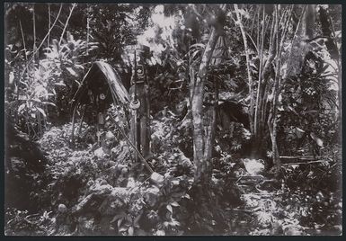 Image of Kesoko, shrine of Maleghoeke, Solomon Islands
