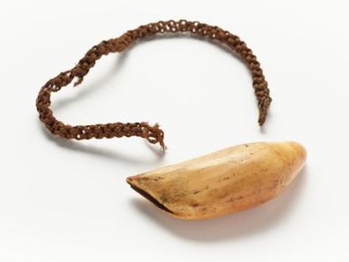 Tabua (Ceremonial whale tooth)