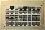 Geoffrey C Wood Nelson Evening Mail proof sheet: Cricket