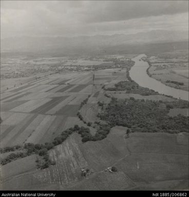 Aerial views of fields and crops