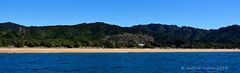 Totaranui DOC Camp, Abel Tasman National Park, Tasman Bay, NZ