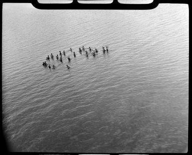 Fijians, net fishing in shallow waters, Fiji