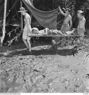 SOPUTA, PAPUA, 1942-12. MAIN DRESSING STATION NEAR SOPUTA. TWO AUSTRALIANS BRING IN A WOUNDED COMRADE ON A BUSH STRETCHER. HE IS PRIVATE RON WEAKLY, 39TH AUSTRALIAN INFANTRY BATTALION, WOUNDED AT ..