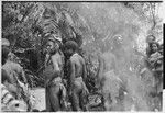 Pig festival, uprooting cordyline ritual, Tsembaga: people watch display of large red pandanus fruits, man (center) has marsupial tail in his wig