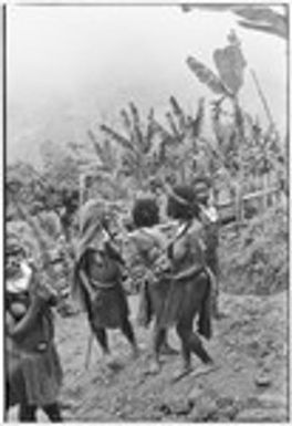 Pig festival, singsing preparations, Tsembaga: women wearing shell valuables socialize near dance ground