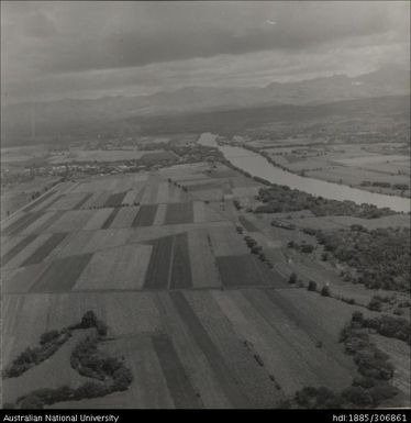 Aerial views of fields and crops