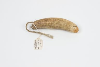 Pendant, whale tooth