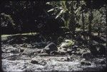 Orofere Valley, Tahiti: stream and banana trees