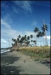 Beach landscape