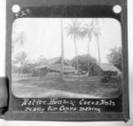 Native Houses, CocoaNuts ready for Copra making