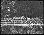 Rack of pig jaws and tusks in front of a chief's house, showing great number of pigs killed