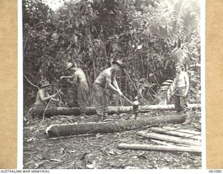 FINSCHHAFEN AREA, NEW GUINEA. 1943-11-11. MEMBERS OF THE 4TH AUSTRALIAN FIELD BAKERY SPLITTING COCONUT LOGS TO BE USED IN THE CONSTRUCTION OF WATER TANK STAND