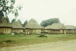 Village homes, Mt Hagen area, Jan 1964