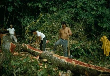 Canoe Making in Niue