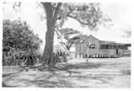 Large old tree and wooden building