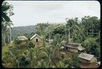 Houses in a village