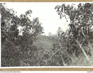 DONADABU AREA, NEW GUINEA. 1943-11-30. A COMPANY, 2/10TH AUSTRALIAN INFANTRY BATTALION ASSAULTING THE OBJECTIVE AND CONSOLIDATING THEIR POSITIONS ON THE FINAL ATTACK DURING A COMBINED EXERCISE WITH ..