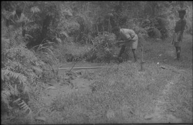 Frank Weston Seboda, Malaria Control Assistant, collecting anopheline larvae from a pig wallow : Mapamoiwa Station, D'Entrecasteaux Islands, Papua New Guinea, 1956-1959 / Terence and Margaret Spencer
