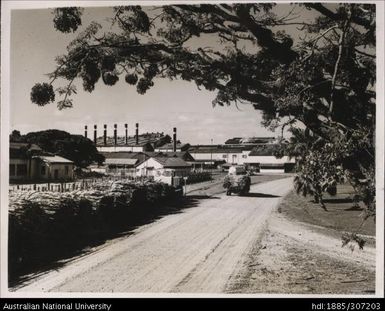 Cane arriving at Mill