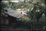 Houses in a village