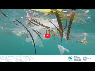 Palau students address plastic pollution in the marine environment