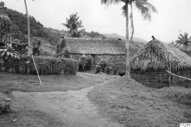 ["palmer, hus, halmtak, by, hydda, berg, skog, landskap, fotografi, photograph"]