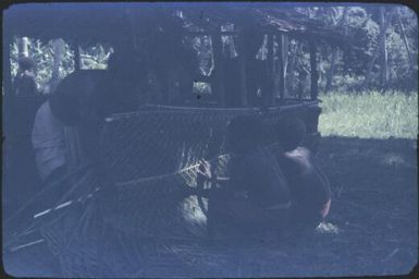 Building an 'office' at Fai'ava : D'Entrecasteaux Islands, Papua New Guinea, 1956-1959 / Terence and Margaret Spencer