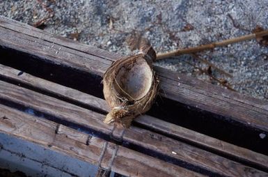 Canoes Details