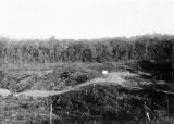 Papua New Guinea, view of cleared land with forest in distance