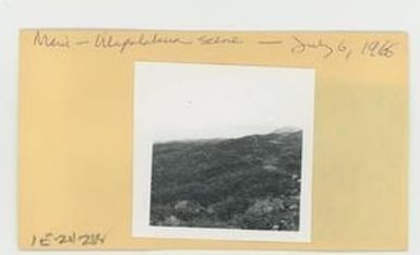 [Ulupalakua Scene in Hawaii, envelope IE24-288]