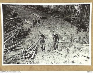 MILNE BAY, NEW GUINEA, 1943-07-12. MEMBERS OF THE 5TH AUSTRALIAN ARMY TROOP COMPANY, ROYAL AUSTRALIAN ENGINEERS AND THE 2/1ST AUSTRALIAN PIONEER BATTALION, CARRYING A LARGE STEEL WATER PIPE ALONG ..