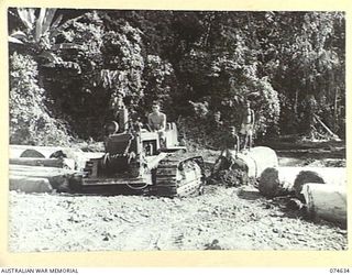 BASAMA-LAE AREA. NEW GUINEA. 1944-07-16/17. AUSTRALIAN ARMY ENGINEERS USING A TRACTOR TO HAUL A LARGE LOG OUT OF THE JUNGLE FOR TRANSPORT TO THE UNIT SAWMILL