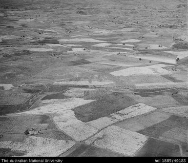 Cane fields, Nadi district