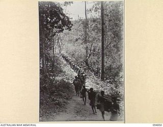 ILIPEM, NEW GUINEA. 1945-07-31. MEMBERS OF B COMPANY, 2/5TH INFANTRY BATTALION, MOVING FORWARD ALONG THE TRACK TO OCCUPY A NEW POSITION. THEY ARE TAKING PART IN A MOVE TO CRACK JAPANESE DEFENCES TO ..