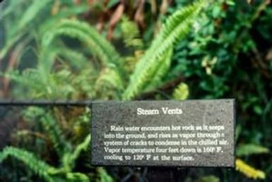 [Steam Vent Sign at Volcano National Park]