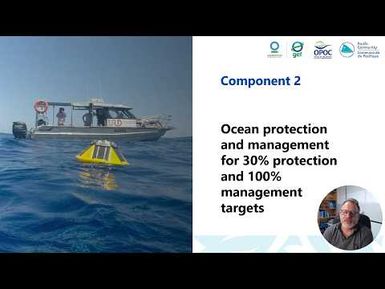 Component 2: Ocean Protection and Management