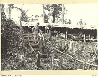 WAREO, PAPUA, NEW GUINEA, 1944-03-29. THE EXTERIOR VIEW OF A WARD AT B COMPANY, 4TH FIELD AMBULANCE REST CAMP, SHOWING THE NEED TO CLIMB STEPS BETWEEN WARDS IN THE MOUNTAINOUS TERRAIN