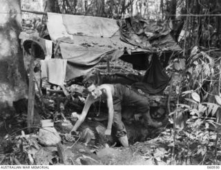 NEW GUINEA. 1943-11-28. VX1621 CAPTAIN N. S. SMITH, SIGNALS OFFICER OF HEADQUARTERS, 24TH AUSTRALIAN INFANTRY BRIGADE ILLUSTRATING THE USE OF THE DOUVA SLIT TRENCH, WHICH ARE DUG NEXT TO THE BUNKS, ..