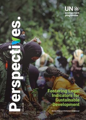 Fostering Legal Indicators for Sustainable Development