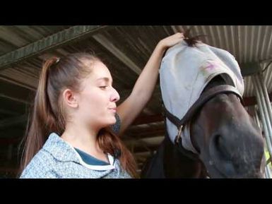 PBS Hawai‘i - HIKI NŌ Episode #804 | Moanalua High School - O‘ahu | Equestrian